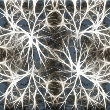 Mindfulness e Integrazione delle Esperienze di Vita