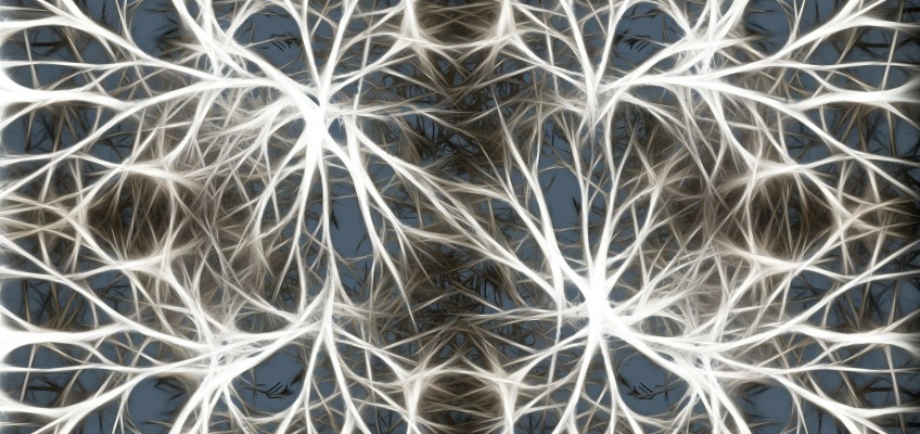 Mindfulness e Integrazione delle Esperienze di Vita