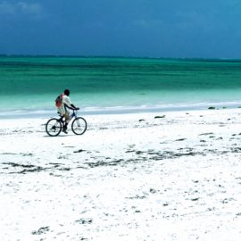 Il Viaggio