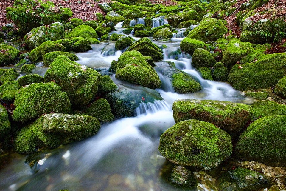 VITA DI SORGENTE – conclusione dell’11° percorso di Mindfulness per la Riduzione dello Stress