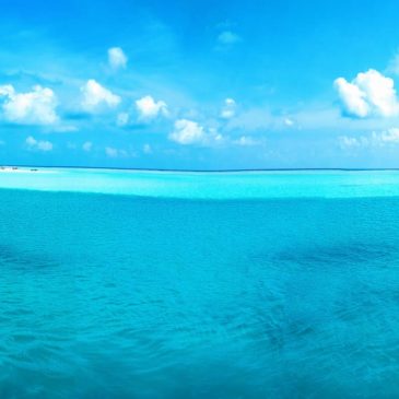 Essere Oceano